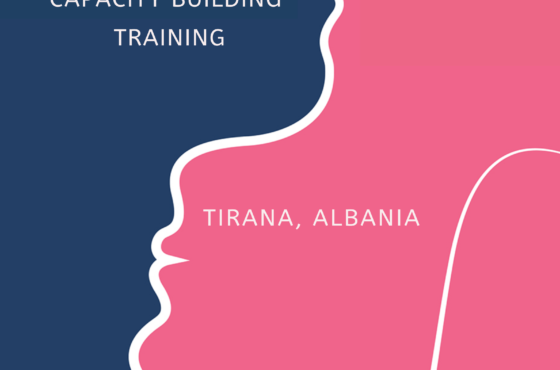 (t)Error Violence: Training for Trainers and Facilitators