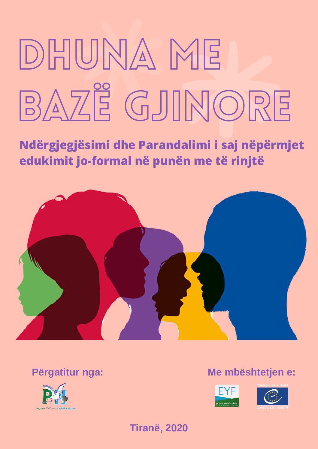 Cover: Dhuna me Bazë Gjinore — Ndërgjegjësimi dhe Parandalimi përmes Edukimit Jo-formal