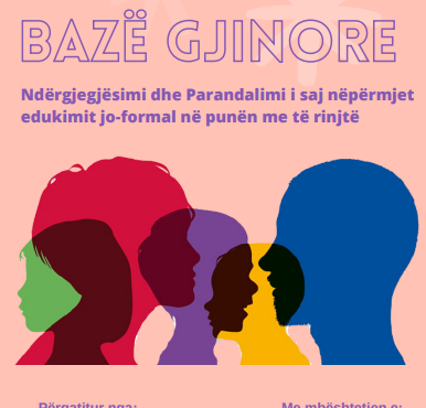 Manual: Dhuna me bazë gjinore