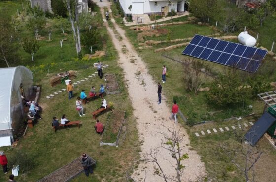 3PEAS – Workshop on social permaculture