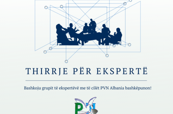 Thirrje për Ekspertë