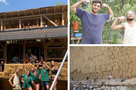 Call for participants: Training c