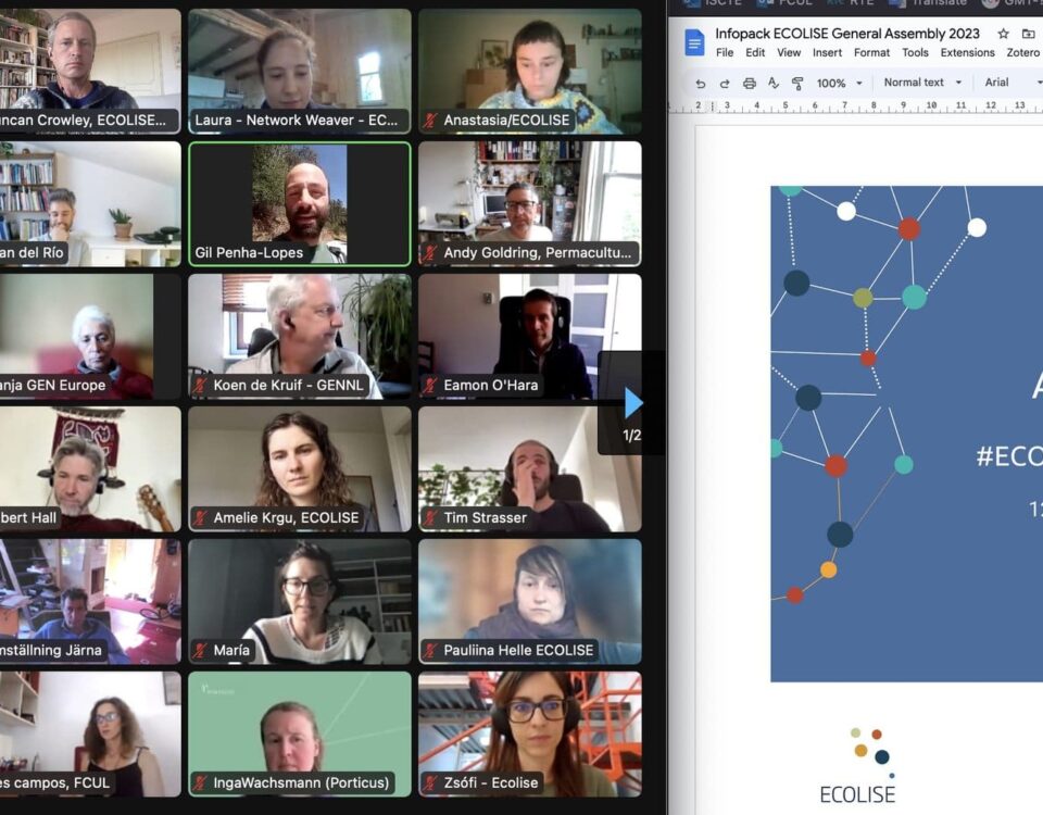 347260663 816516879833473 3501917560081464894 n