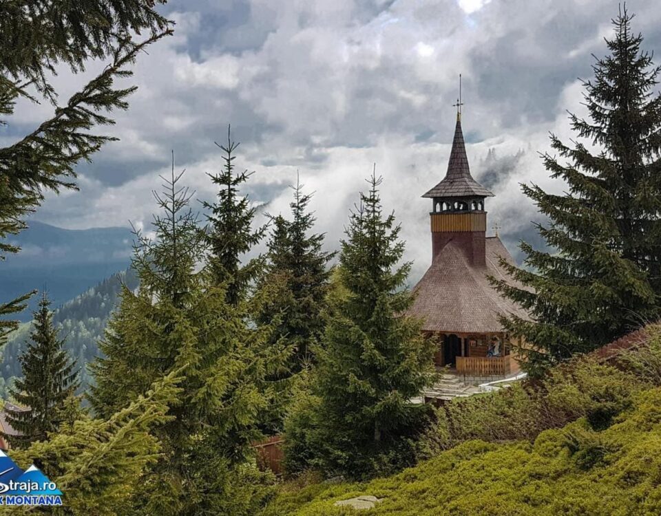 348501605 550810363921640 169503200307877414 n