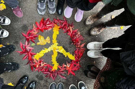 Diverse Voices, Common Needs Training